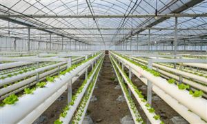 2024中国防洪排涝工程行业市场环境及发展前景分析9博体育官网(图3)