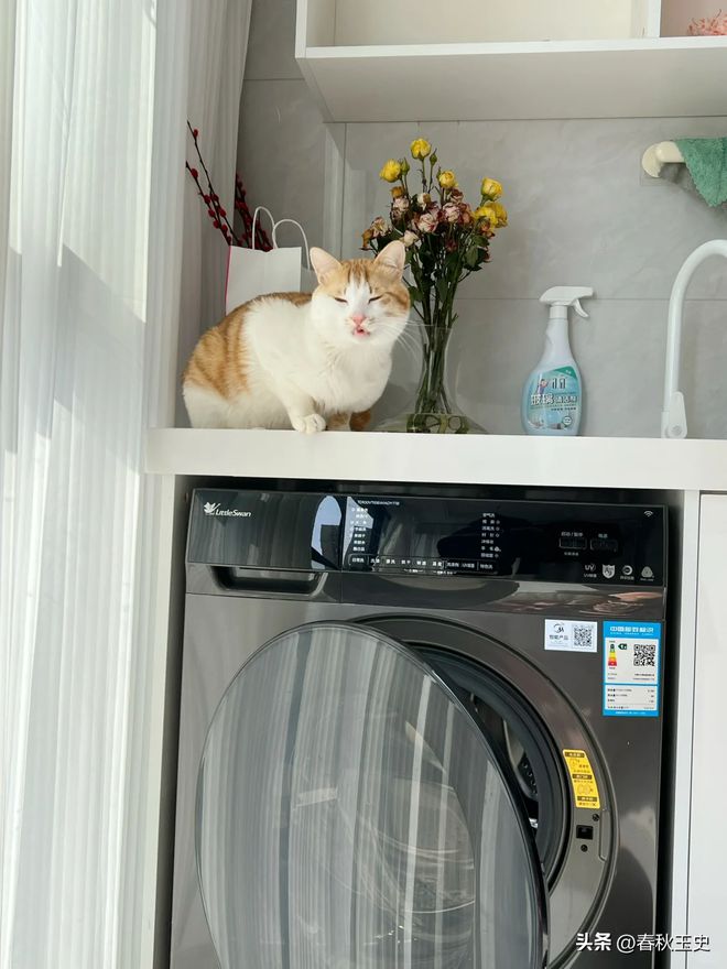 9博体育官网如果再买洗衣机一定坚持“4不买”不是矫情是换过2台的经验(图14)
