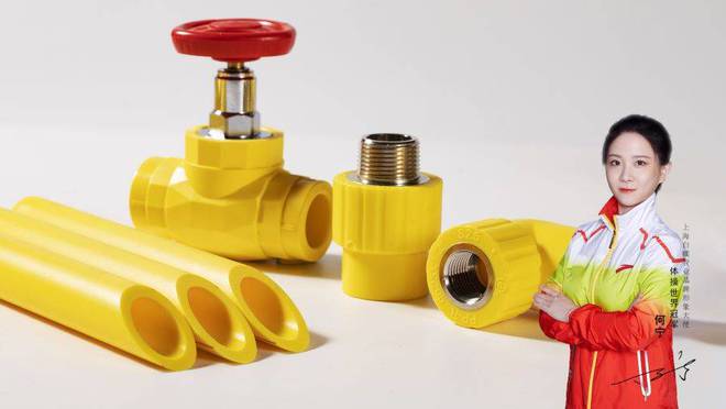 白蝶荣获2024中国PPR水管十大品牌行业标杆品牌9博中国体育(图3)