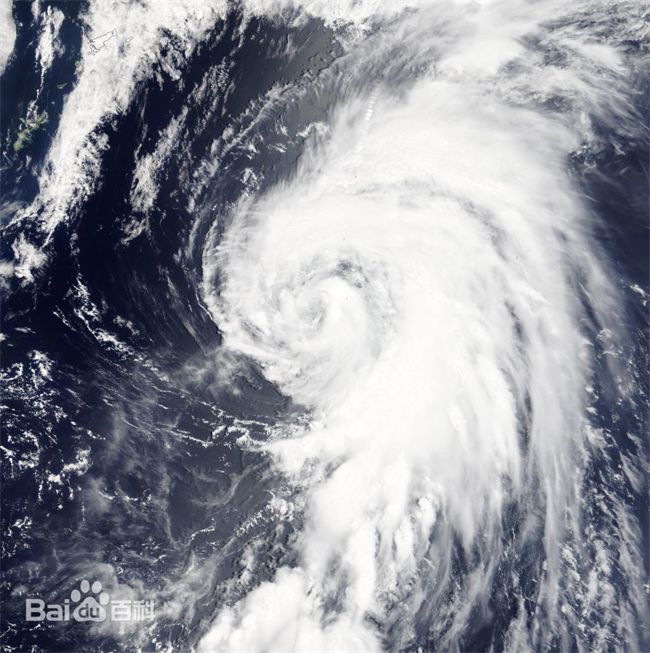 台风下的坚固护盾9博官网 入口良住系统门窗:守护家的温馨与安宁(图1)