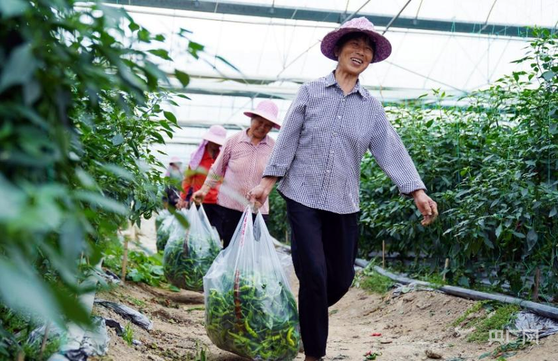 【人民城市·温情中国】留住古韵乡愁 书写“硒”望新篇(图8)